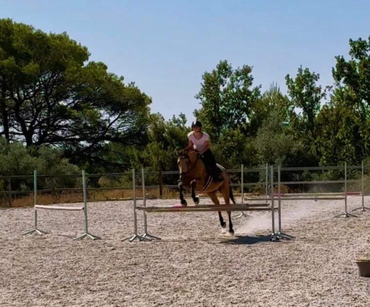 Cours particuliers d'équitation à proximité de Fayence, Seillans, Les Ecuries de la Cinarca