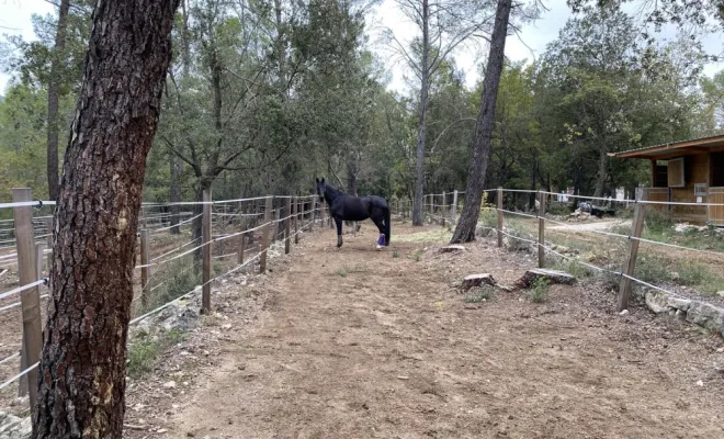 Écuries pour pensions de chevaux à vers Fréjus, Seillans, Les Ecuries de la Cinarca