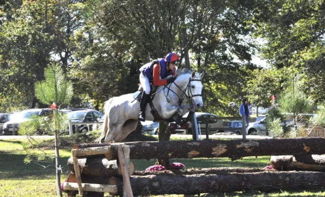 Écuries pour pensions de chevaux à vers Fréjus, Seillans, Les Ecuries de la Cinarca
