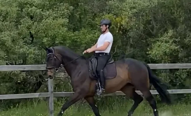 Sunny,  Hongre Oldenbourg 13 ans, PRO 3. 